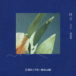 精品高清成人AV
